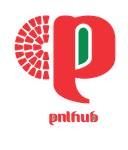 pnlhub_logo
